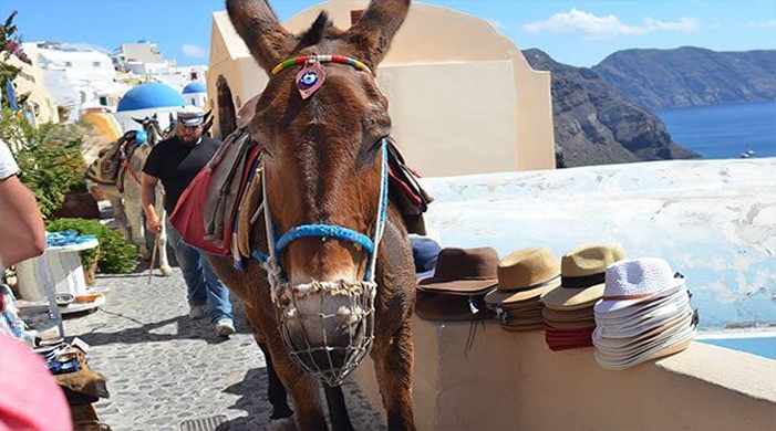 6 Mistakes to Avoid when Planning a Trip to Santorini
